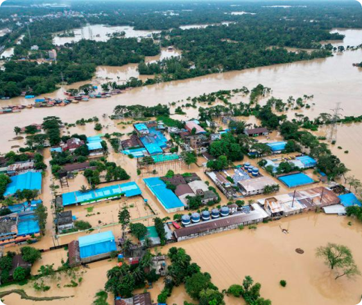Feni Image